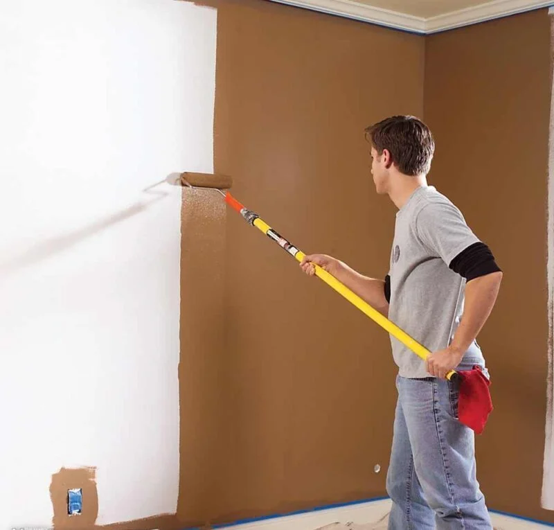 Domaniç Boya Badanacı