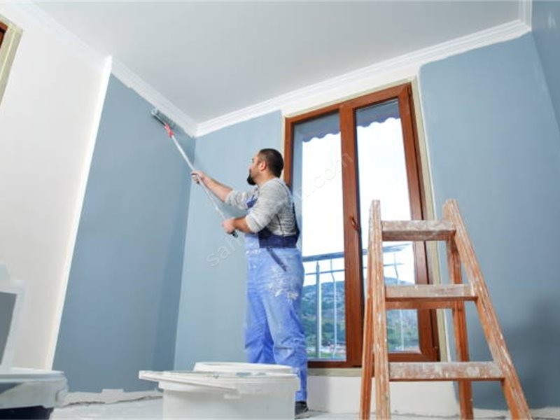 Domaniç Boya Badanacı