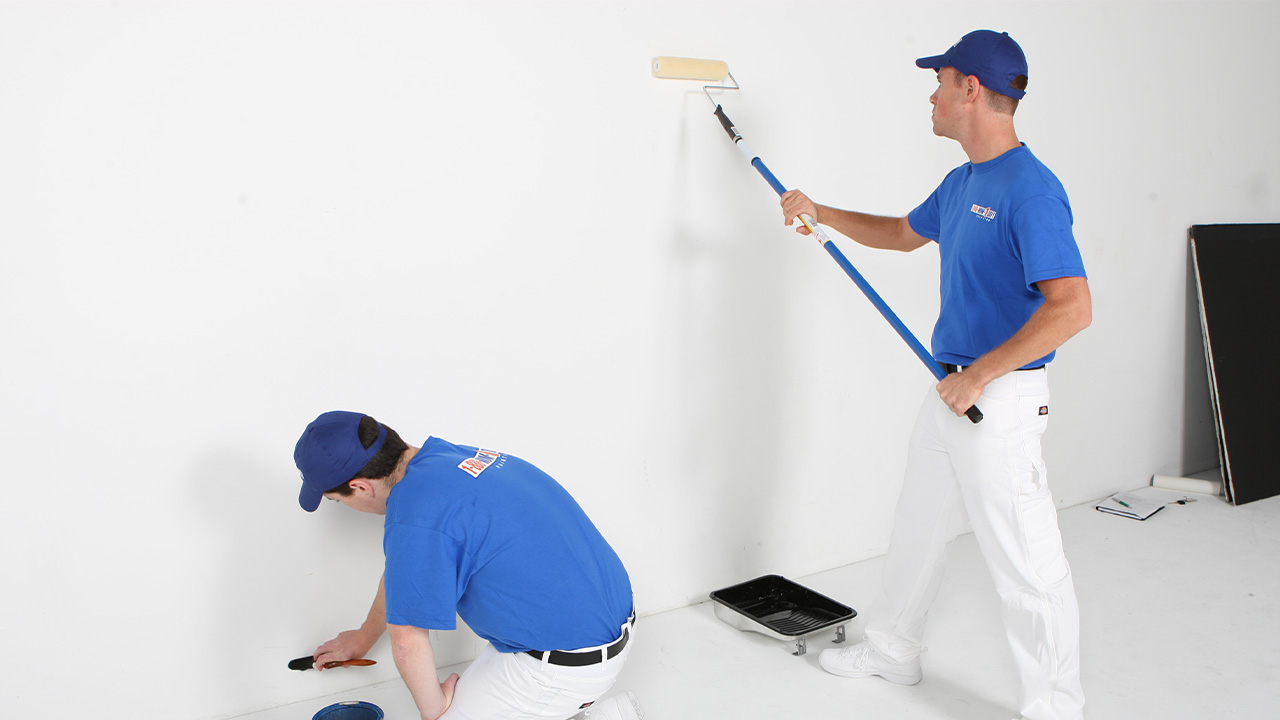 Domaniç Boya Badanacı